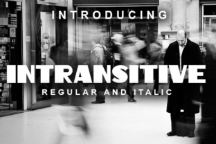 Intransitive: The Retro Display Font for Modern Web Headlines