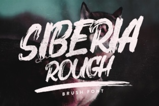 Siberia Rough: The Ultimate Display Font for Bold Branding